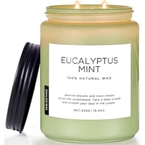 M&SENSE Eucalyptus & Mint Soy Aromatherapy Candle (19.4oz)