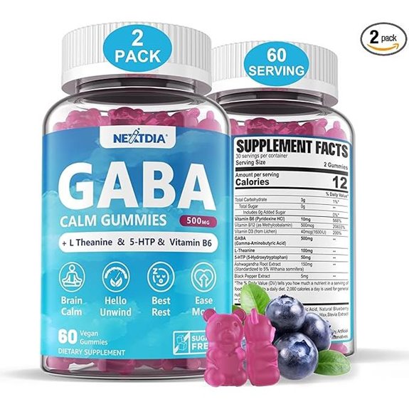 GABA Gummies 500 mg: Sugar-Free Calm Blueberry