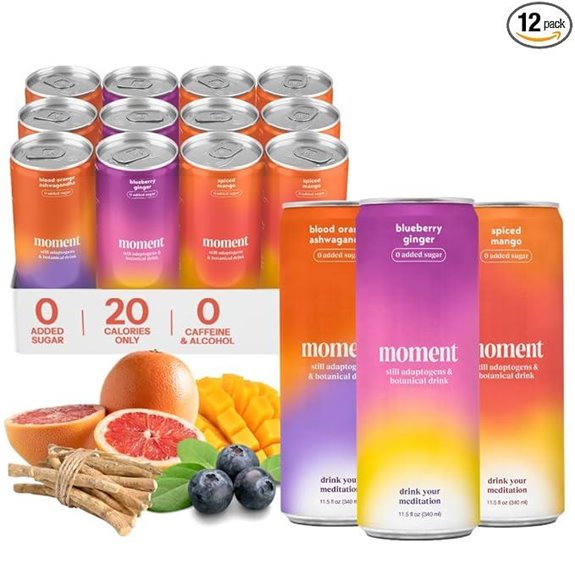 Moment Adaptogen Drink: Calm & Clarity (12-Pack)