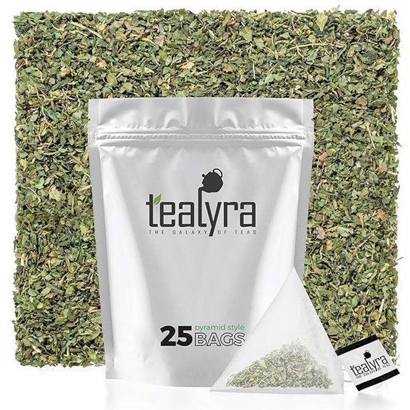 Tealyra Lullaby Herbal Tea—Nettle Peppermint Calming