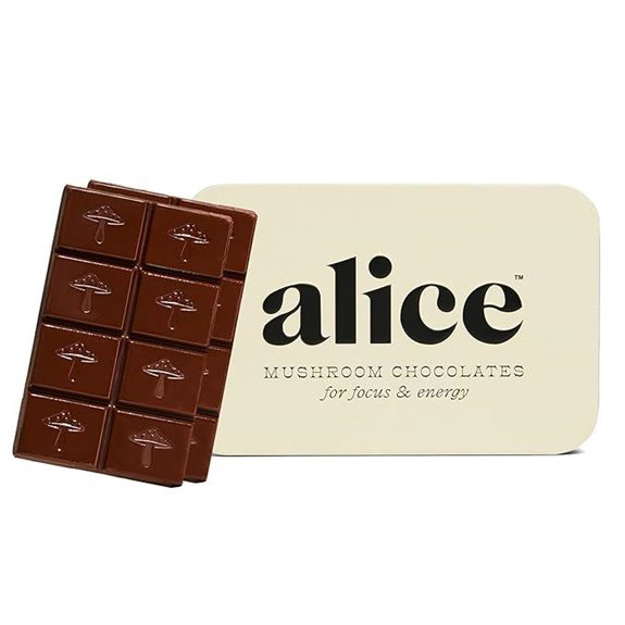 Alice Mushrooms Brainstorm: Nootropic Mushroom Chocolates & Energy Bites