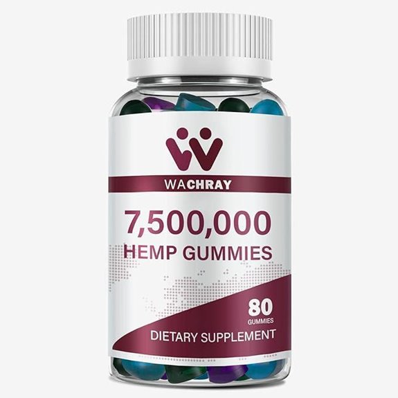Organic Hemp Gummies High Potency Low Sugar (1-Pack)