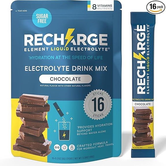 Recharge Element Hydration Powder Packets Chocolate (16 Servings)
