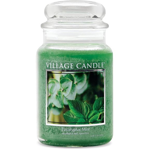 Village Candle Eucalyptus Mint Scented Jar Candle